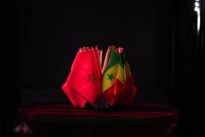 Thomas GIRONA - Graweee